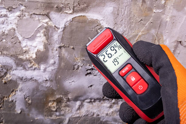Best Attic Mold Removal  in Childress, TX