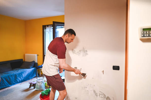 Best Mold Removal and Inspection  in Childress, TX