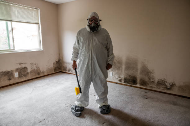 Best Mold Removal and Inspection  in Childress, TX