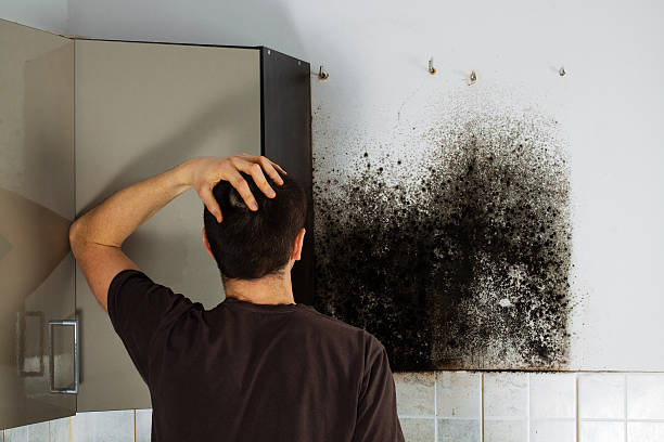 Water Damage Restoration in Childress, TX